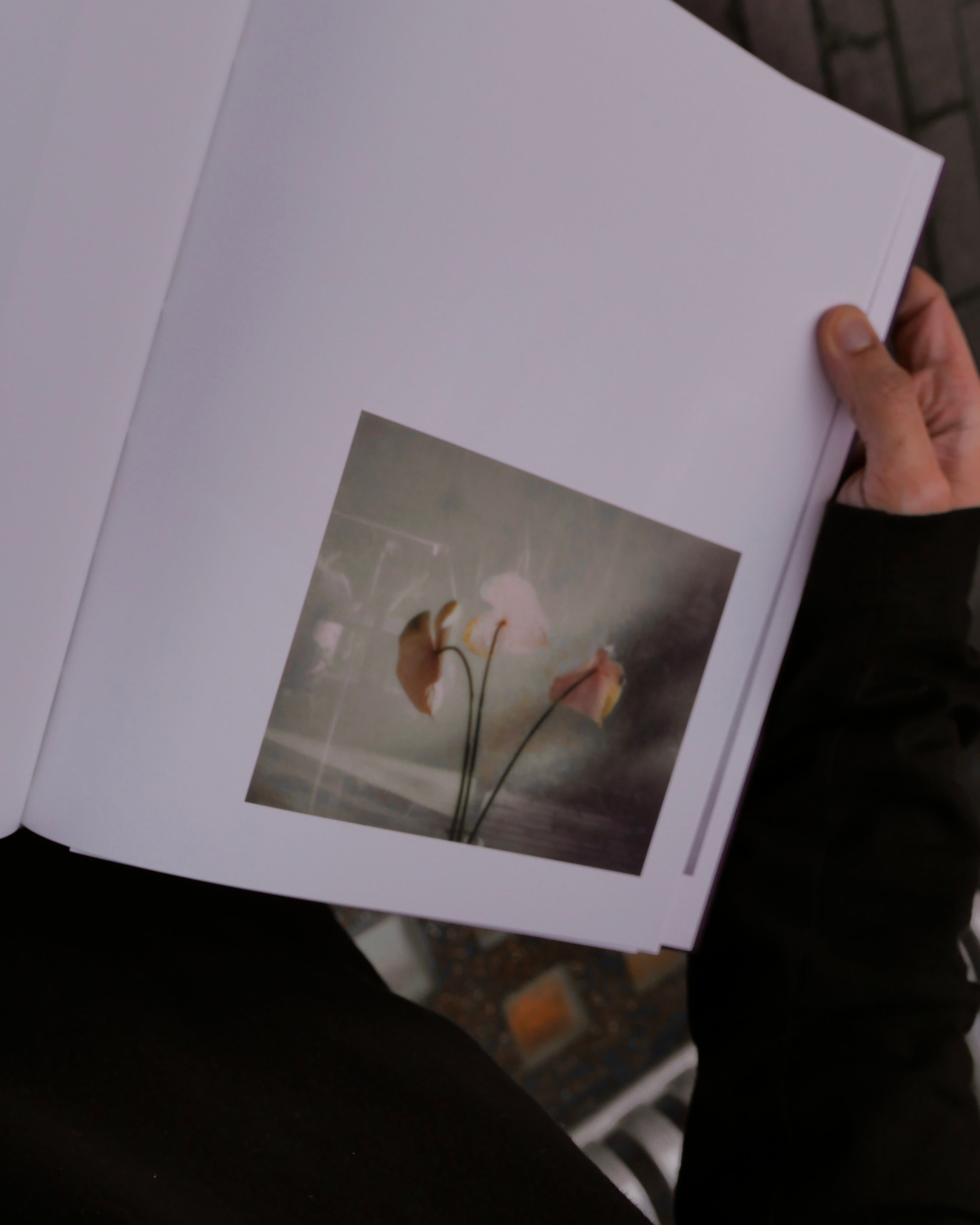 Flowers Yoshiyuki Okuyama