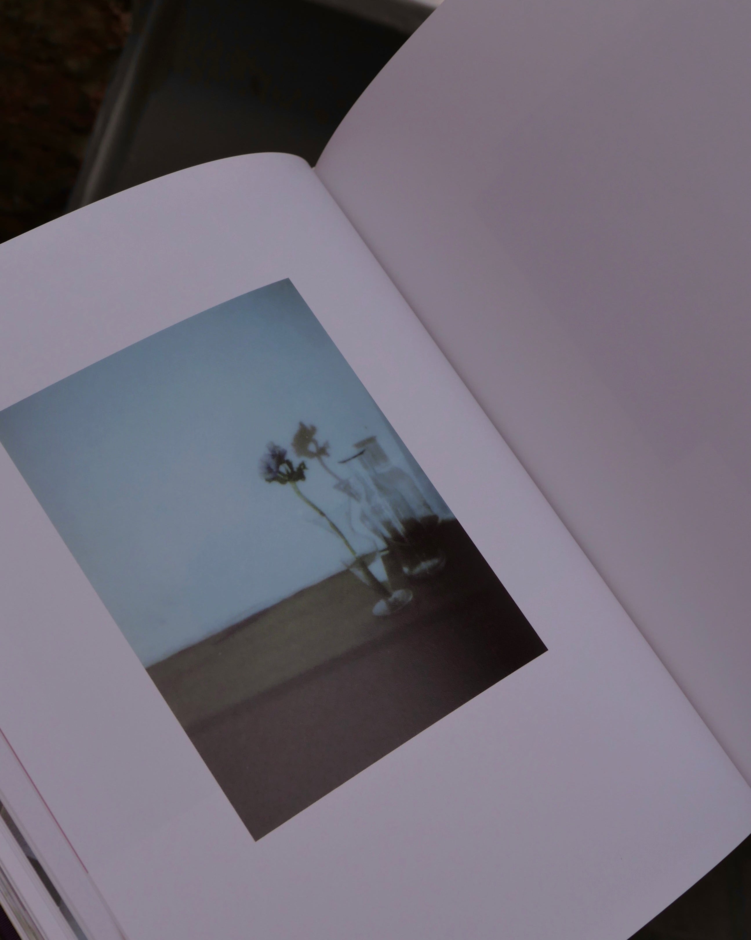 Flowers Yoshiyuki Okuyama