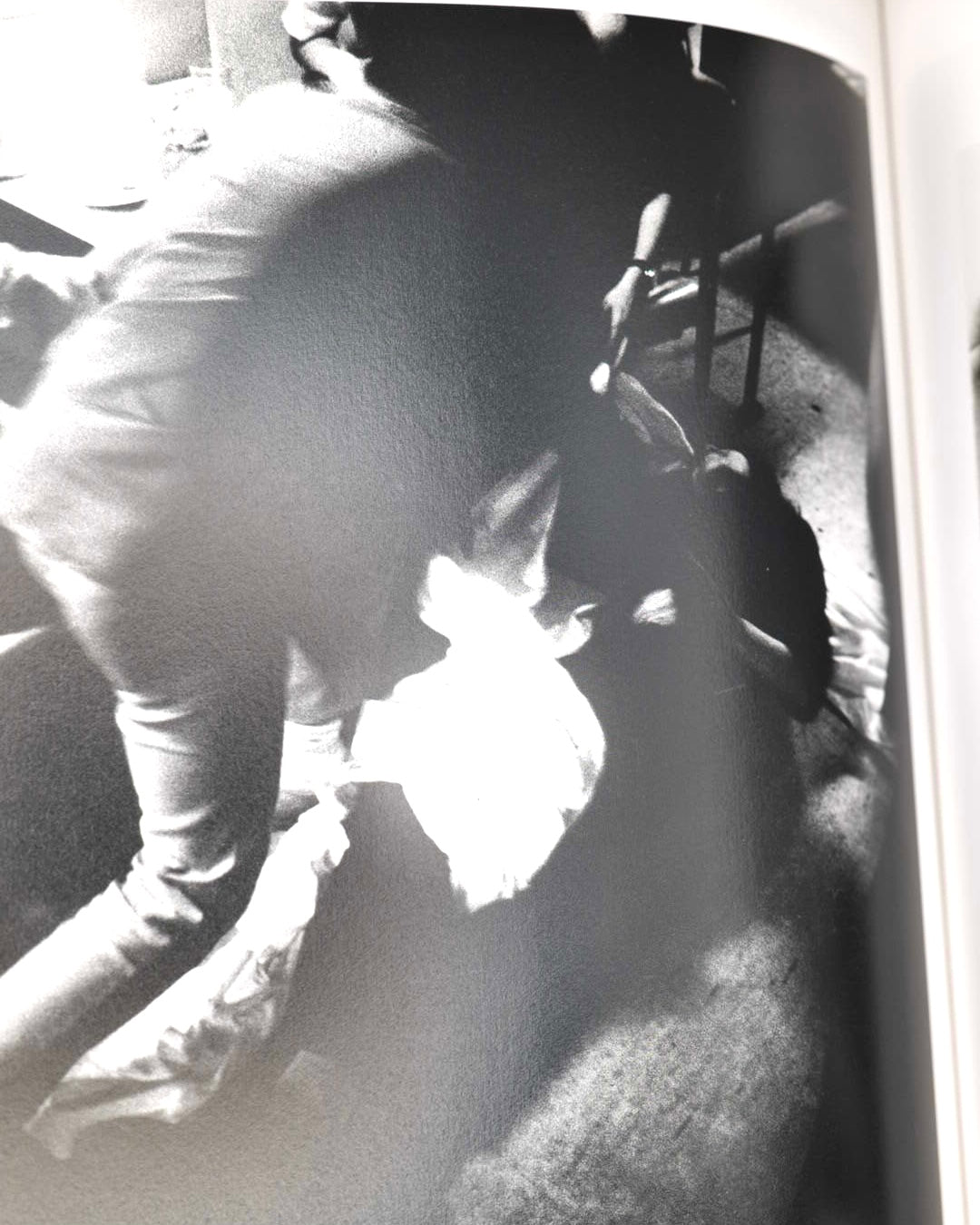 Daido Moriyama: Tokyo Polytechnic University Shadai Gallery Daido Moriyama Archive 1960─1982