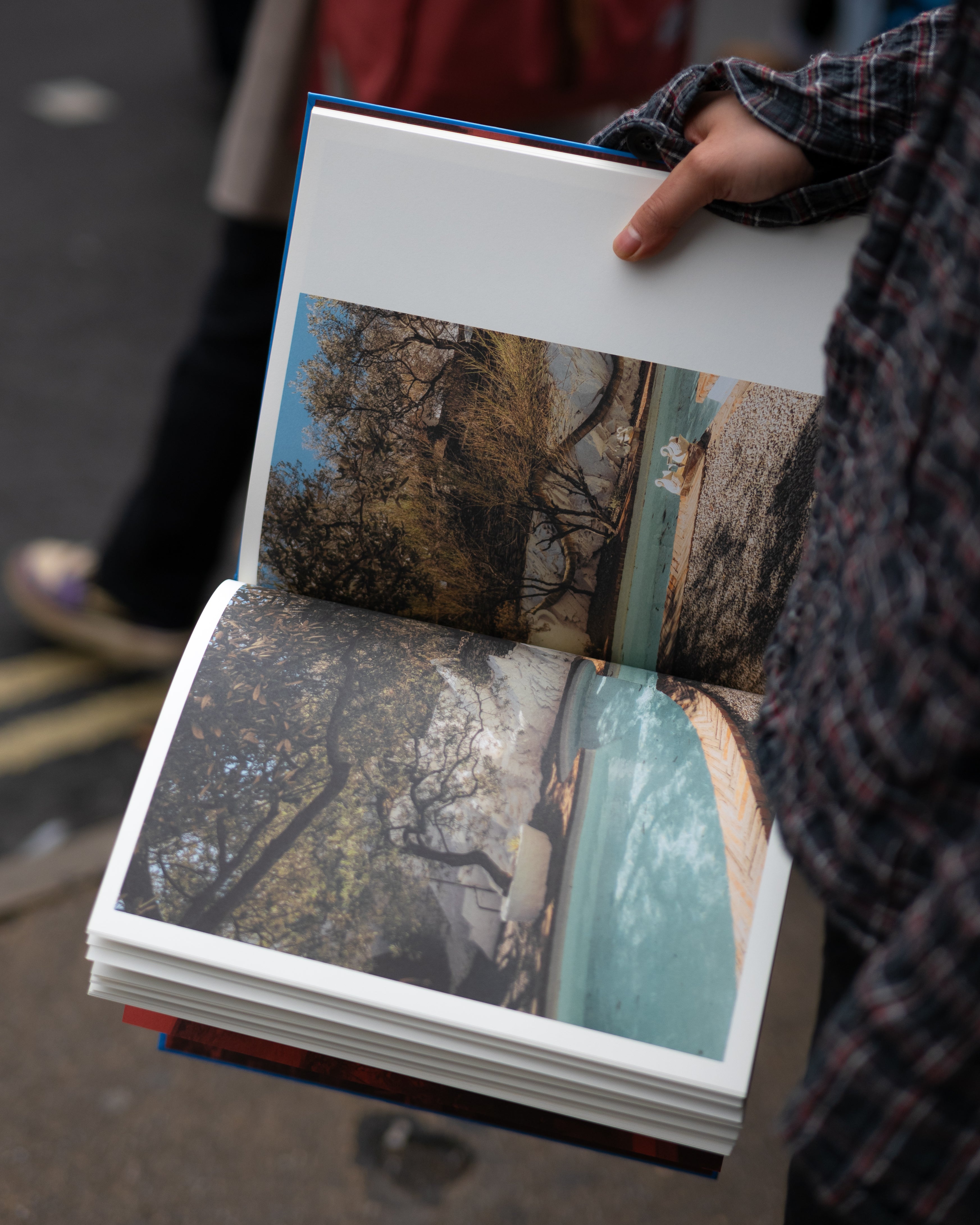 Casa Dalí, Coco Capitán